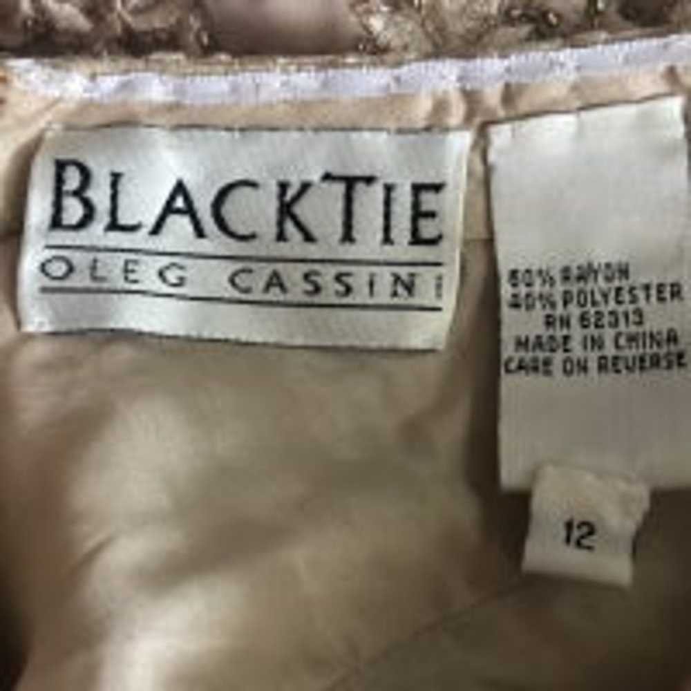 BlackTie Oleg Cassini embroidered beaded long dre… - image 9