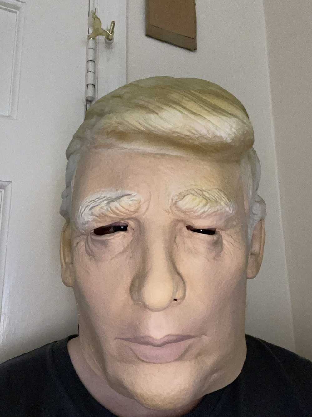Donald Trump Donald Trump Mask (vintage, 2015) - image 1