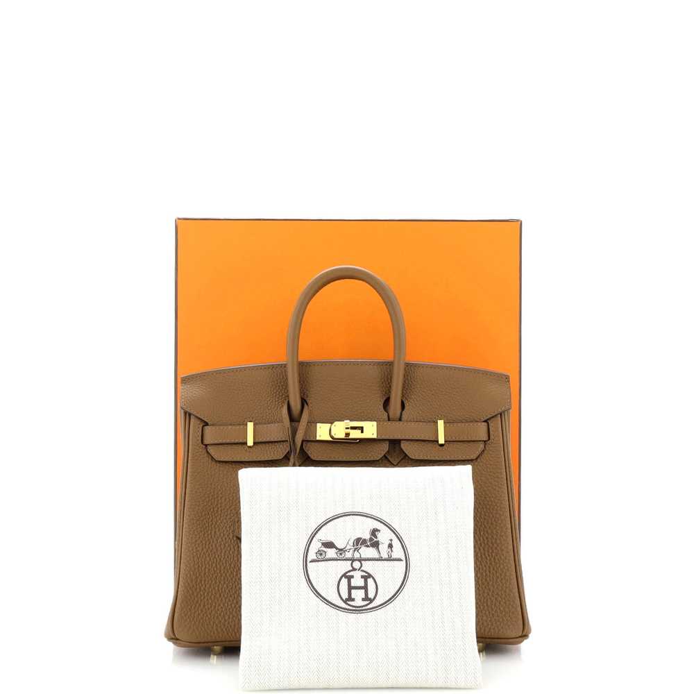 Hermes Birkin Handbag Alezan Togo with Gold Hardw… - image 2