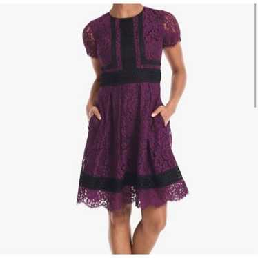 Eliza J Plum and Black Lace Fit and Flare Cocktail
