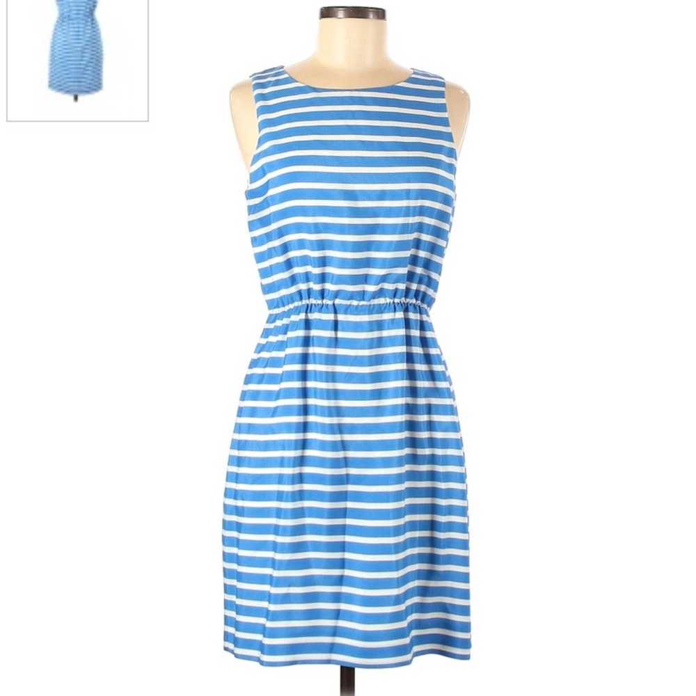 J. Crew Blue And White Stripe Sleeveless Dress Wo… - image 1
