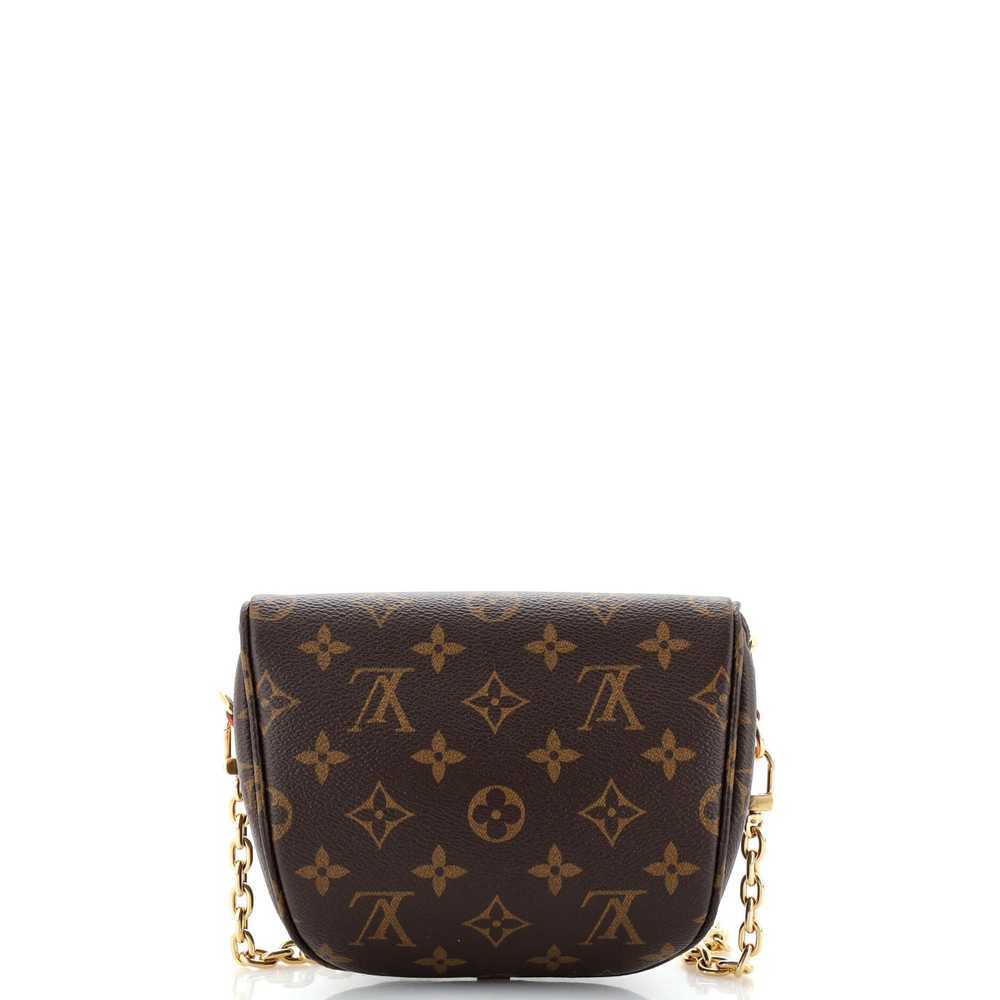 Louis Vuitton Bum Bag Monogram Canvas Mini - image 3