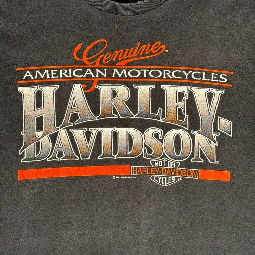 Vtg Harley Davidson 1991 Holoubek USA McDonald Gr… - image 4