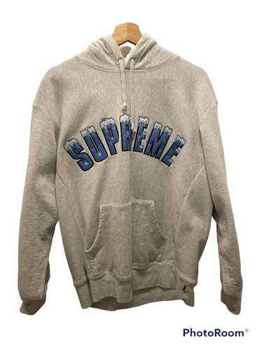 Supreme Supreme Icy Arc Hooded Sweatshirt