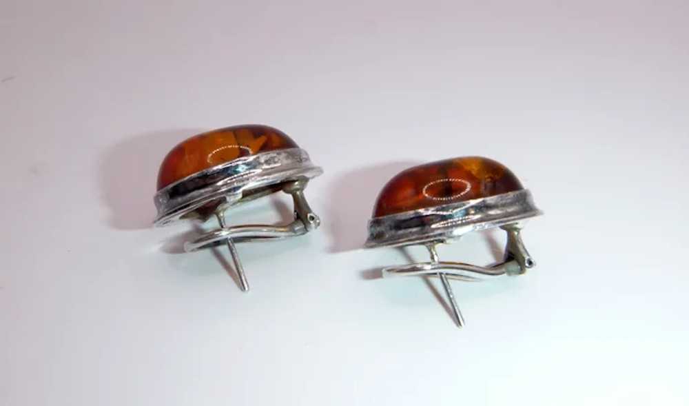 Amber and Sterling Omega Back Earrings - image 8