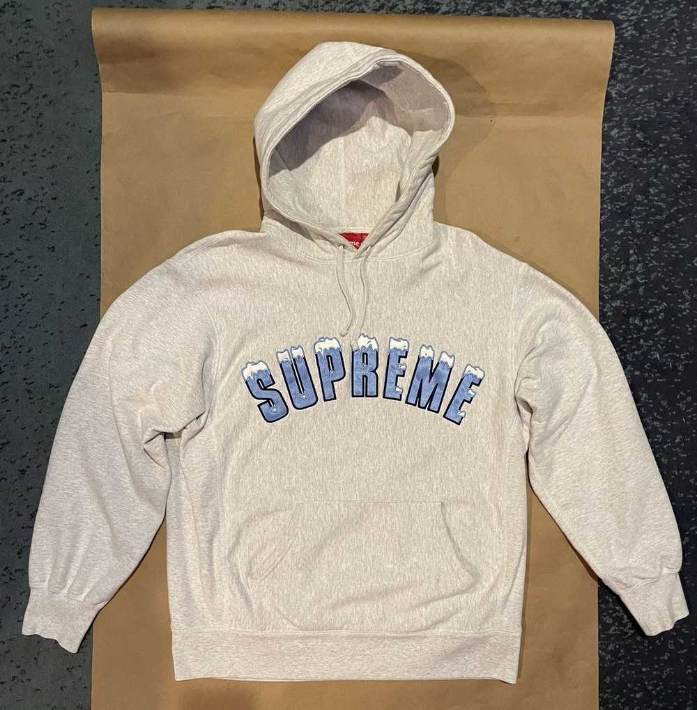 Supreme Supreme Icy Arc Hooded Sweatshirt - image 1