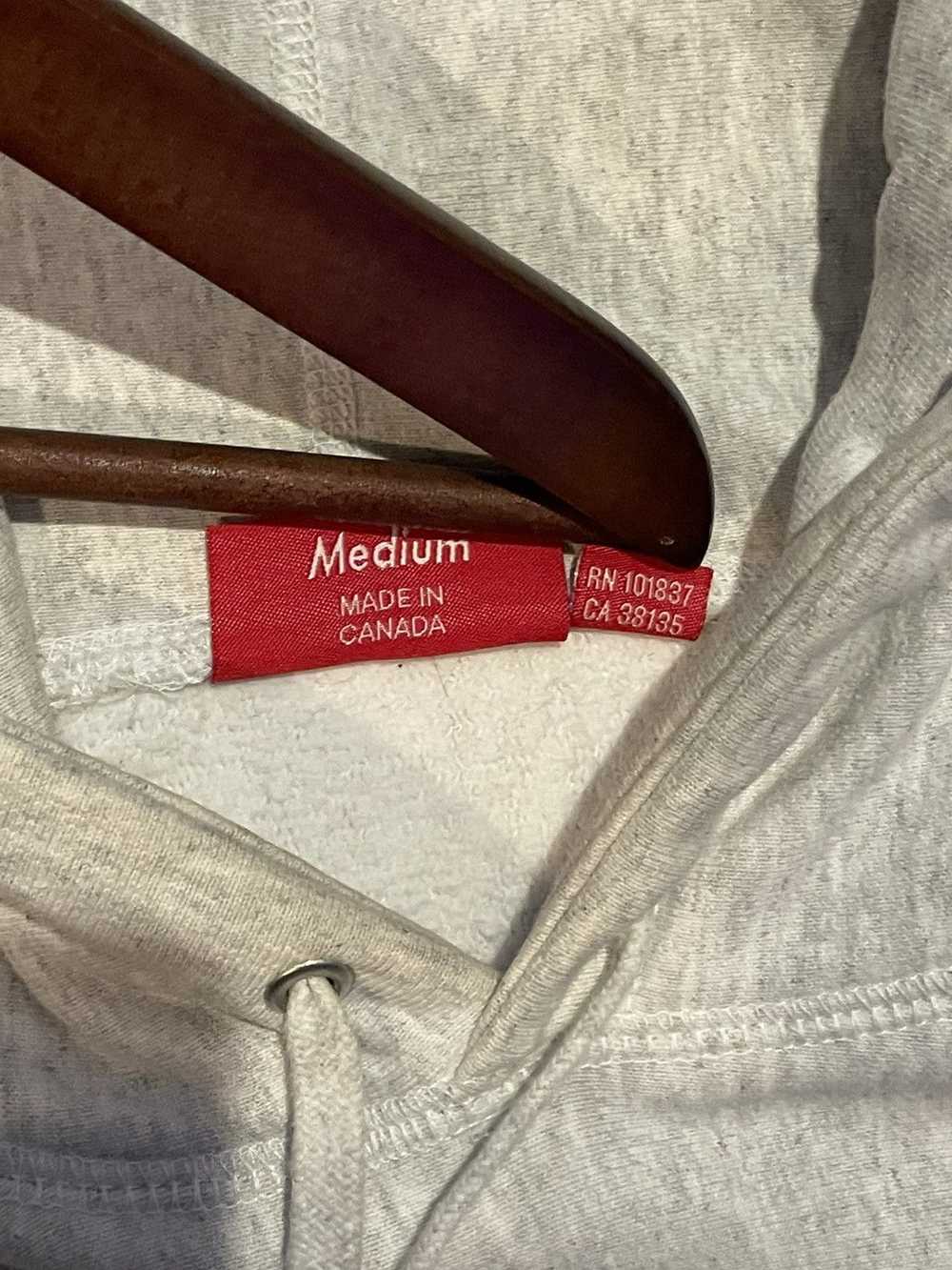 Supreme Supreme Icy Arc Hooded Sweatshirt - image 6