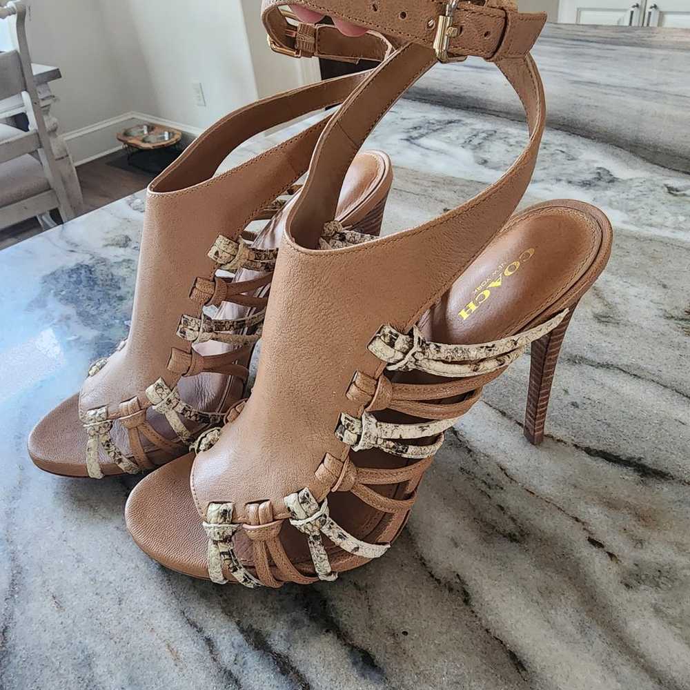 Coach Jody Leather and Snakeskin Sandal Booties S… - image 1