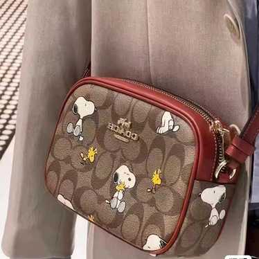 Coach Signature Canvas With Snoopy And Woodstock b