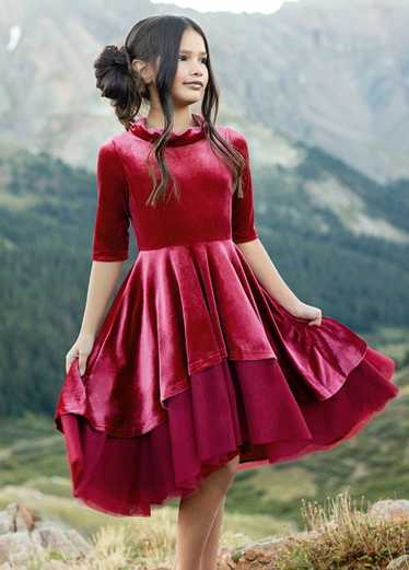 Joyfolie Audrah Petticoat Dress in Barberry