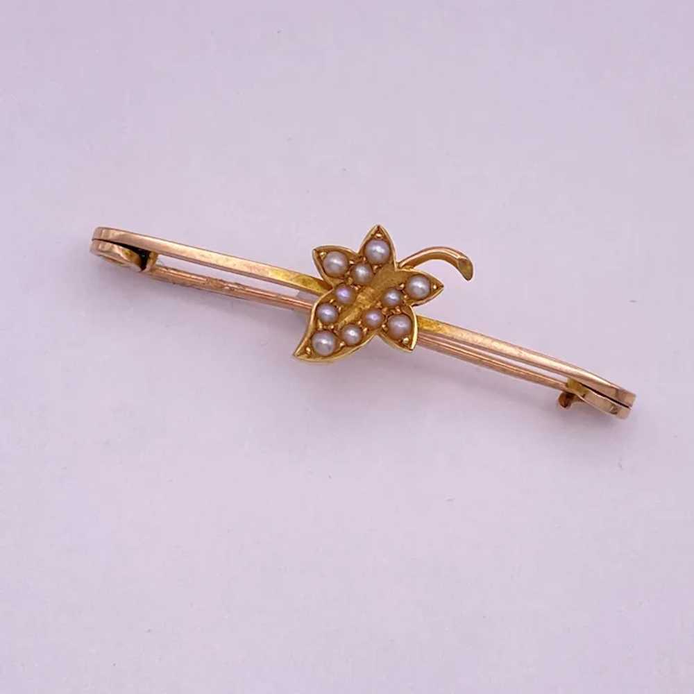 Edwardian Era Brooch Utility Pin 9K Gold Seed Pea… - image 4