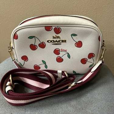 Coach cherry camera bag