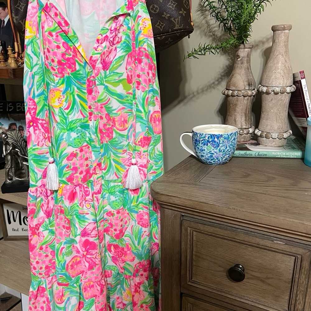 Lilly Pulitzer Dress size Large - image 1