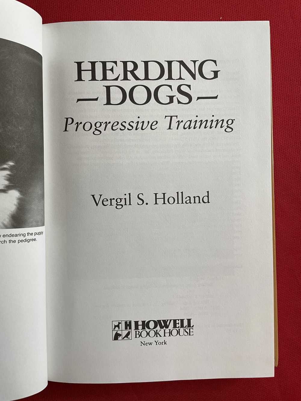 Designer Herding Dogs: Progressive Training Vergi… - image 3