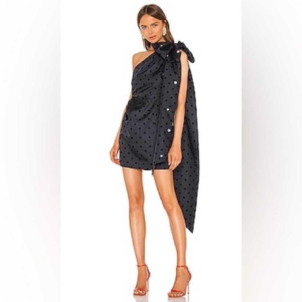 Swarovski Crystal Dot Mini Dress MARIANNA SENCHIN… - image 1