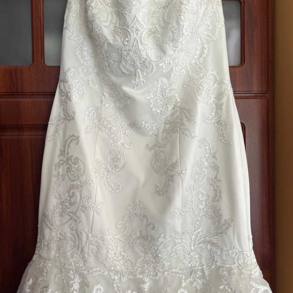 David's Bridal weeding dress + clean & preserve k… - image 2
