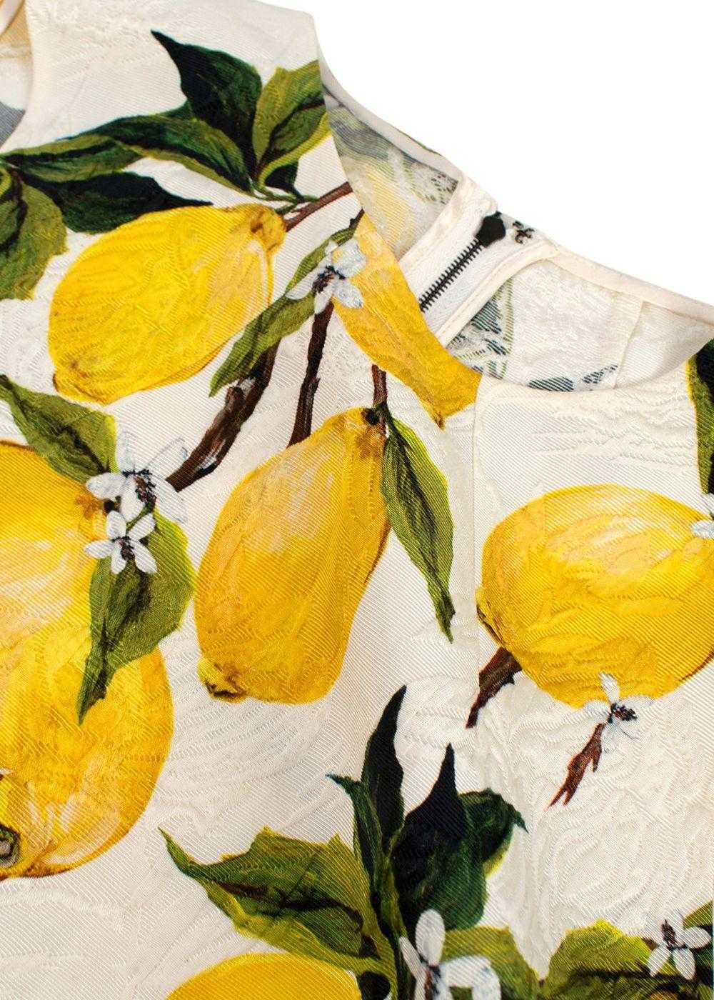 Managed by hewi Dolce & Gabbana Yellow Lemon Prin… - image 3
