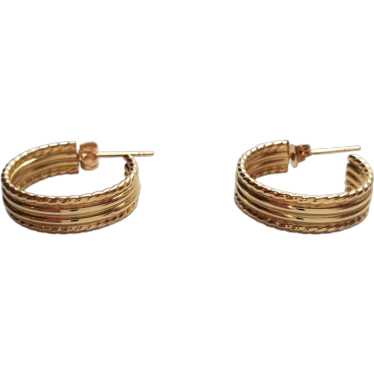 14K Yellow Gold Cable Hoop Earrings #17727
