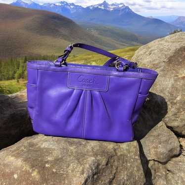 Vibrant Purple Coach Phoebe Shoulder Bag - Gently 