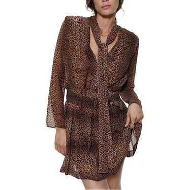 Zara Sheer Leopard Print Mini Dress