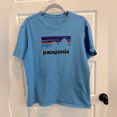 Patagonia Organic Cotton T Shirt-Blue-Medium