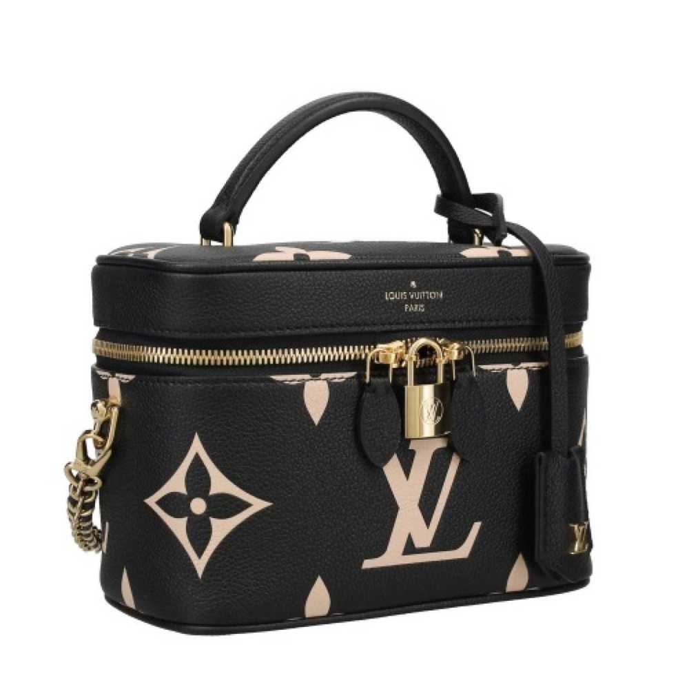 Louis Vuitton Vanity leather handbag - image 2