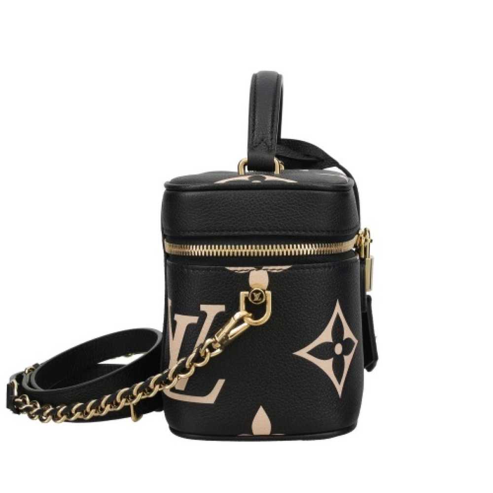 Louis Vuitton Vanity leather handbag - image 6