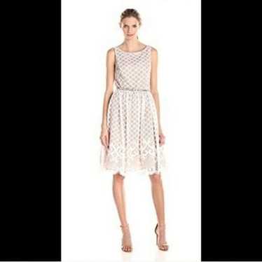 Eliza J White Lattice Lace Dress 6
