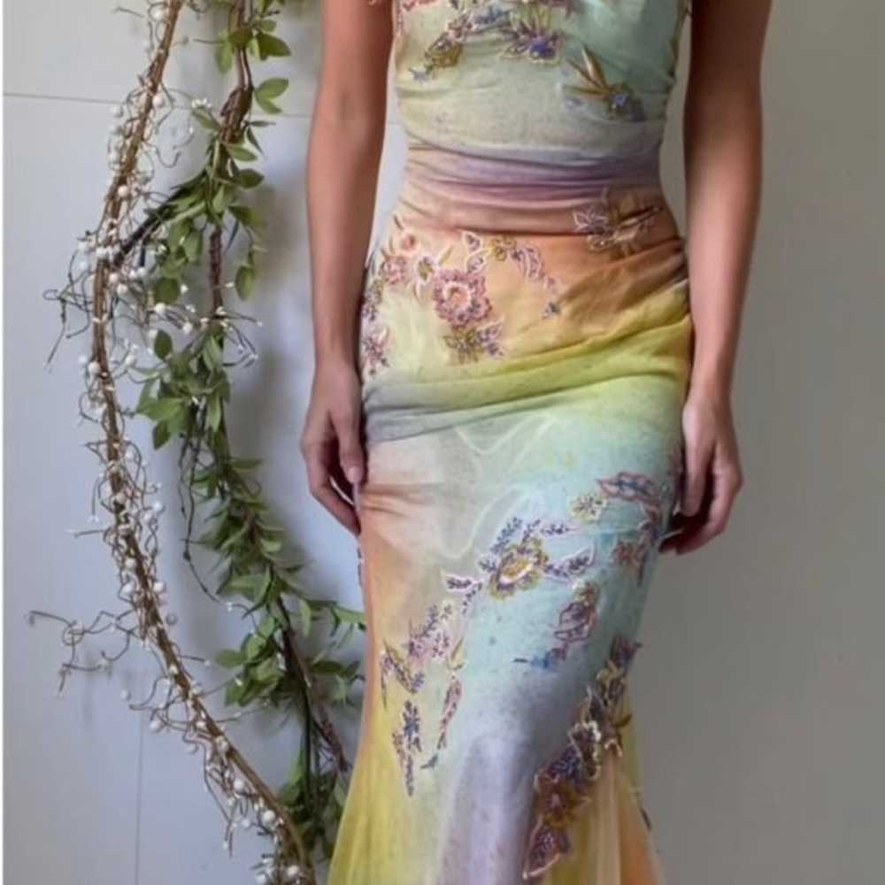 Multi-Color Fairy Cache Dress - image 1