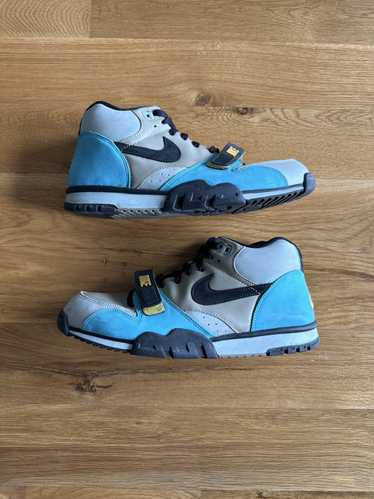 Nike Nike Air Trainer 1 SB