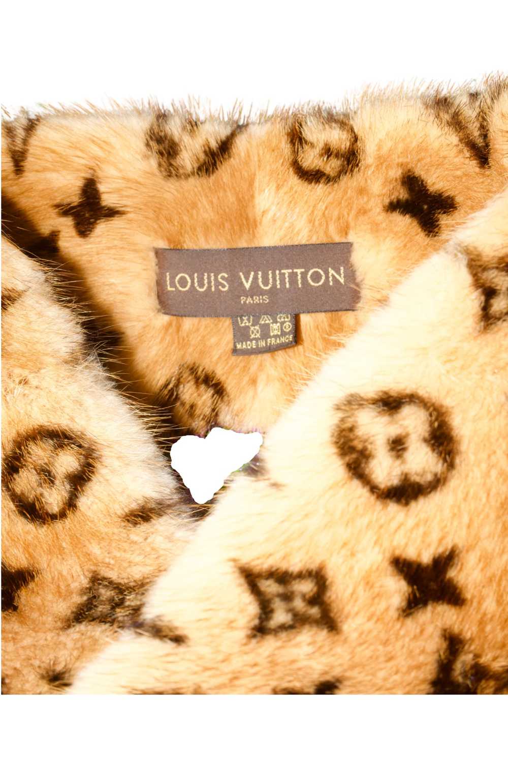 Louis Vuitton Mink Fur Scarf - image 2