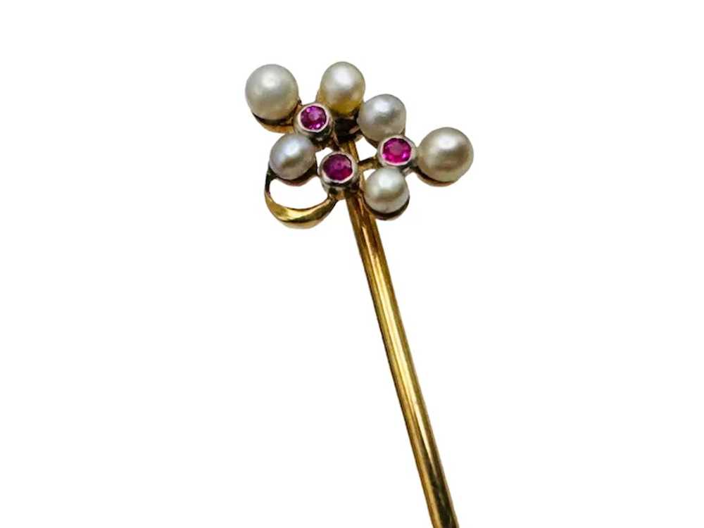 Antique 14k Gold Ruby Pearl Stick Pin & Presentat… - image 5