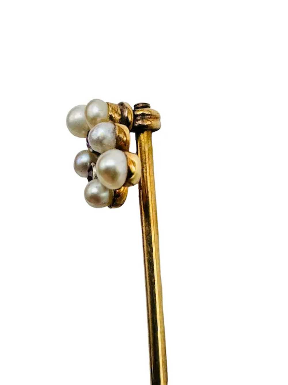 Antique 14k Gold Ruby Pearl Stick Pin & Presentat… - image 6