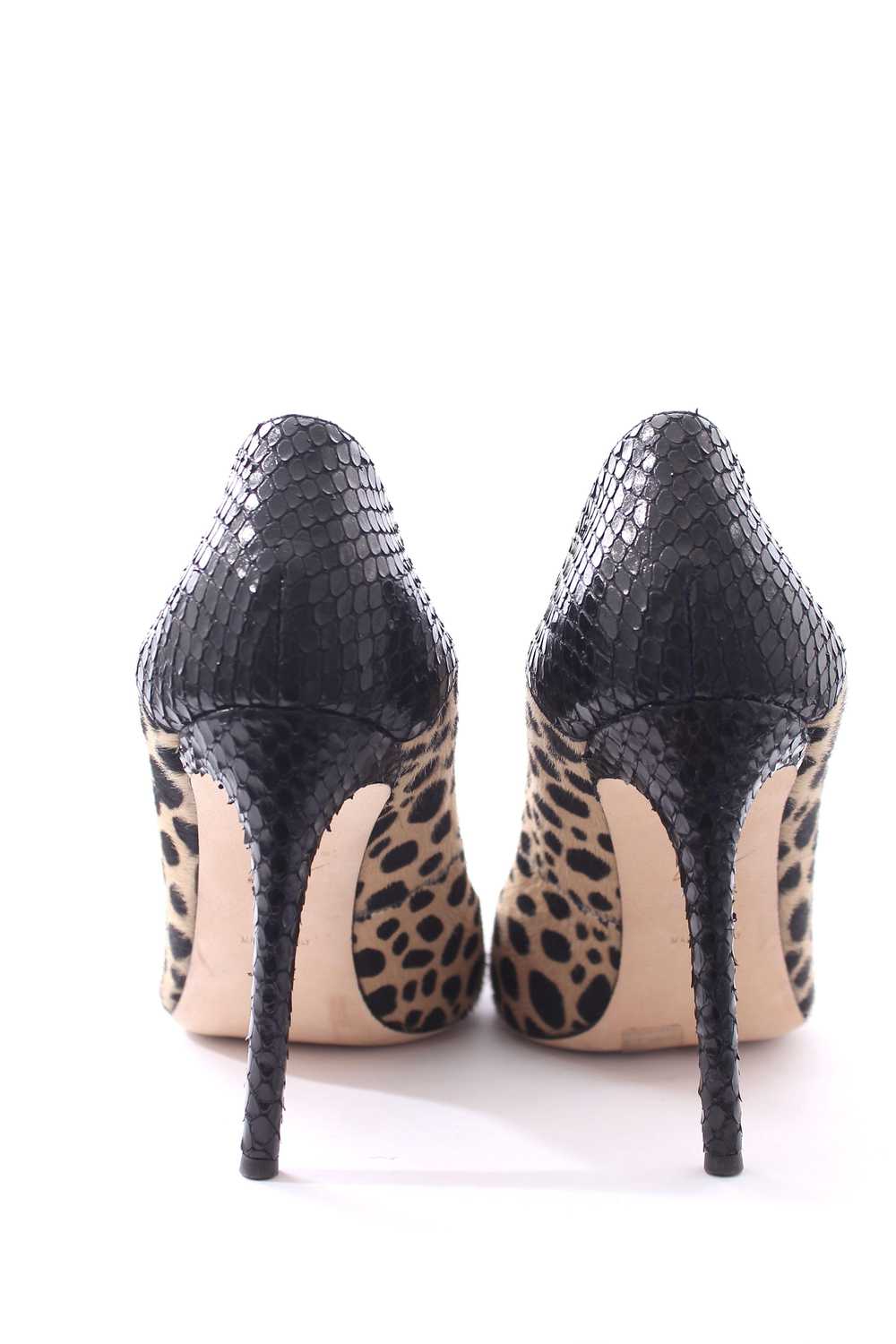 Product Details Giuseppe Zanotti Leopard Print Ca… - image 4