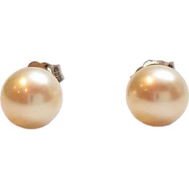 14K White Gold Pearl Stud Earrings #17741