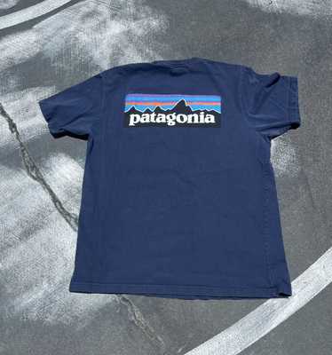 Patagonia × Streetwear Patagonia Mountain Logo Tee
