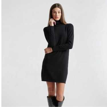 Quince Mongolian Cashmere Turtleneck Sweater Dress