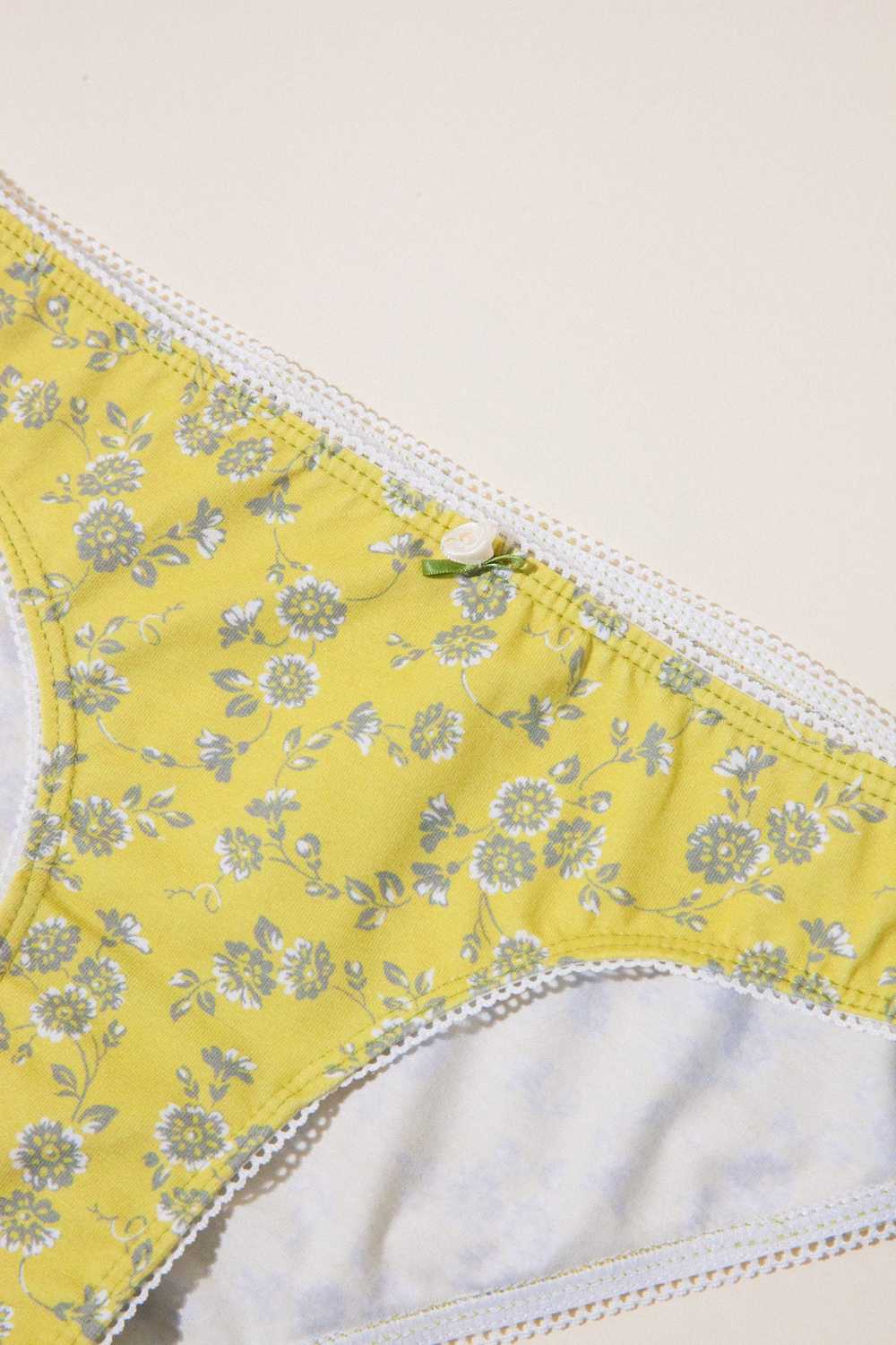 Rat Boi LOW RISE UNDERWEAR IN HONEYSUCKLE - image 4