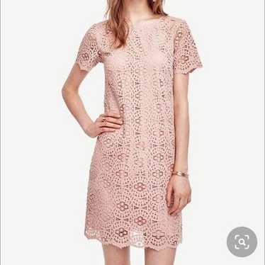 Ann Taylor Mosaic Lace Shift Dress Blush Pink 14 S