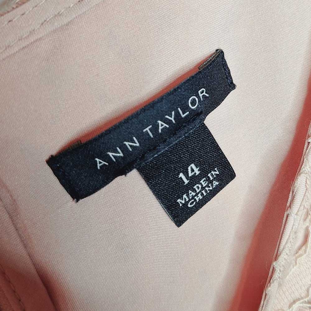 Ann Taylor Mosaic Lace Shift Dress Blush Pink 14 … - image 5