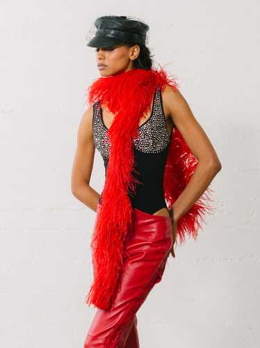 Red Ostrich Feather Boa
