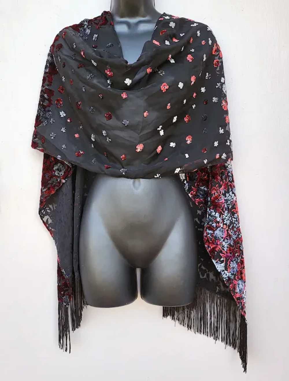 Beautiful Burnt Out Velvet Shawl or Scarf with Fr… - image 6