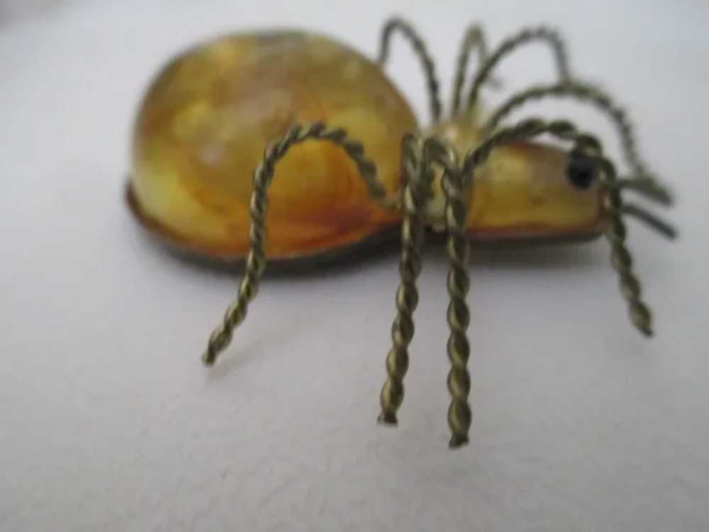 Baltic Amber Russian 10Kt 1900s Cabochon  Spider … - image 3
