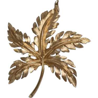 Trifari gold tone leaf pin