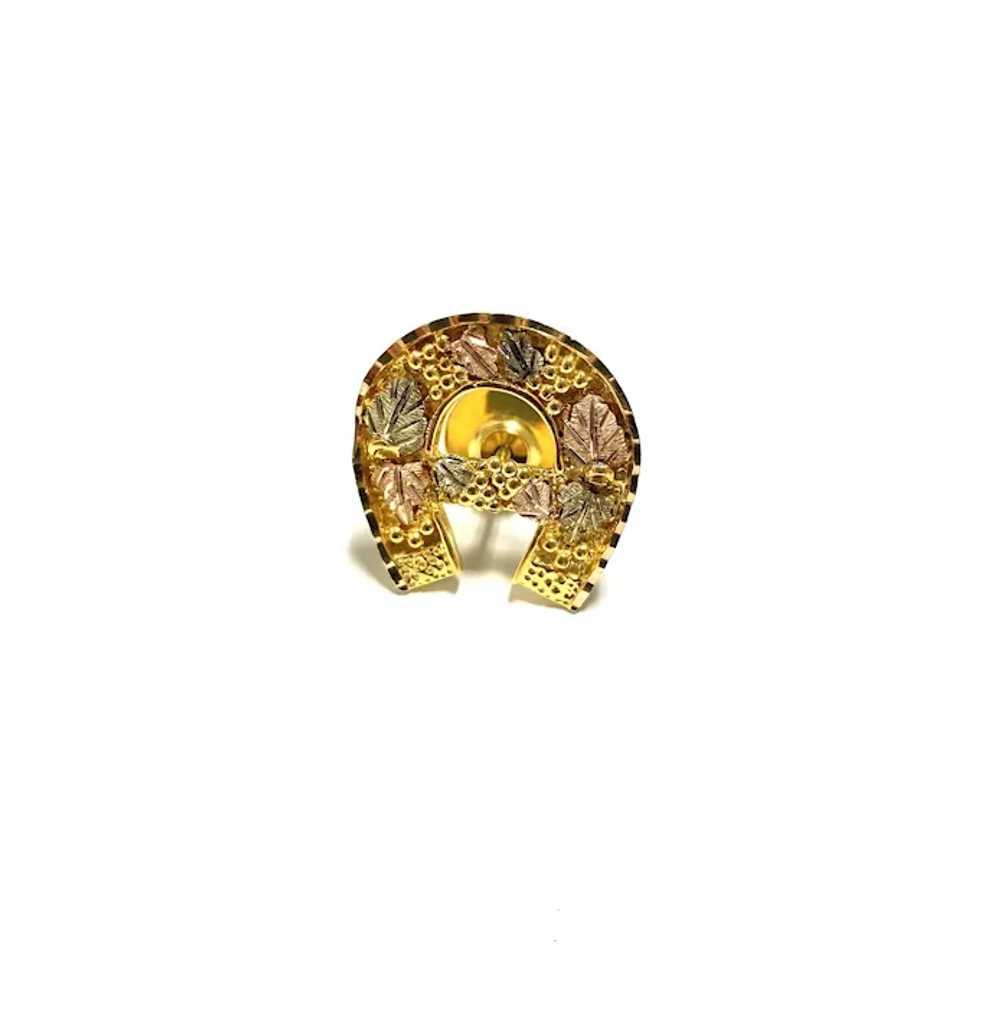 Multi Colored Gold Horseshoe Tie Tac/Hat Pin - image 3