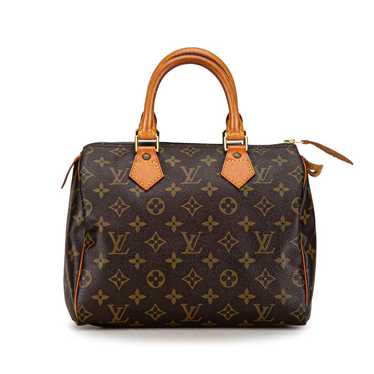 Louis Vuitton Speedy leather bag
