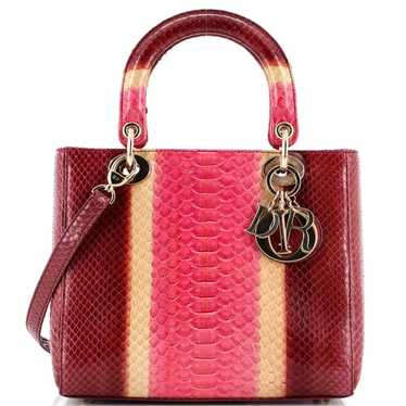 Christian Dior Exotic leathers handbag