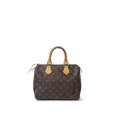 Louis Vuitton Speedy handbag