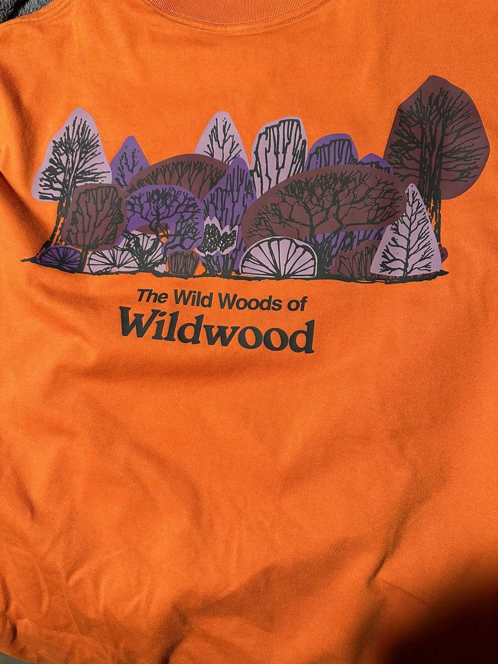 Nike ACG NIKE ACG Wildwood Oversize Graphic T-Shi… - image 2