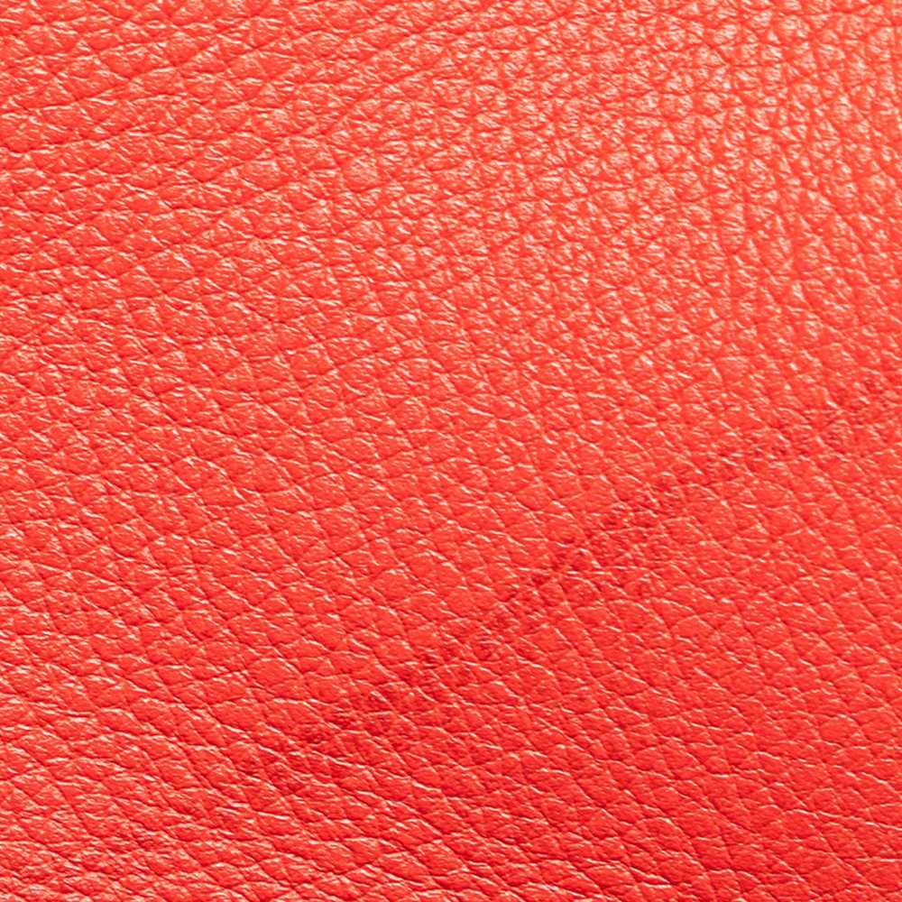 Red LOEWE Leather Amazona 36 Satchel - image 9
